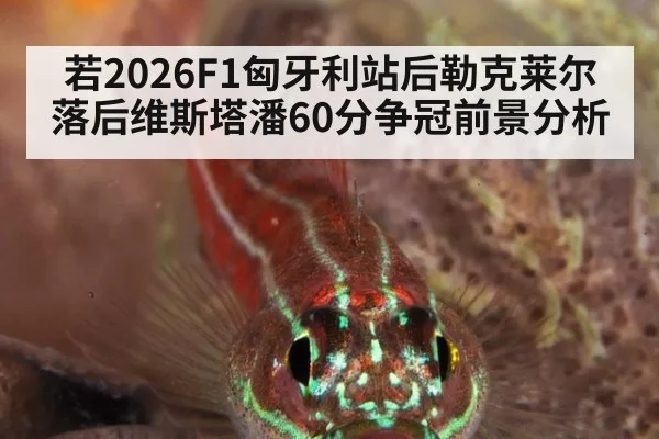 若2026F1匈牙利站后勒克莱尔落后维斯塔潘60分争冠前景分析