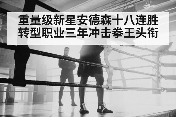 重量级新星安德森十八连胜 转型职业三年冲击拳王头衔