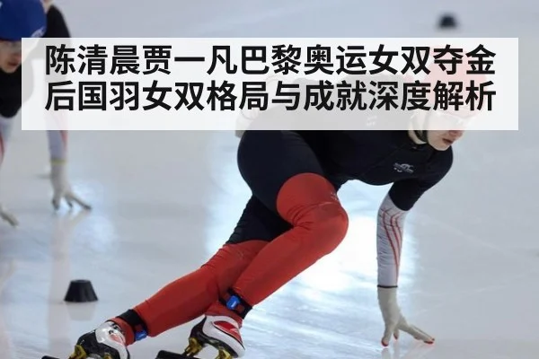陈清晨贾一凡巴黎奥运女双夺金后国羽女双格局与成就深度解析